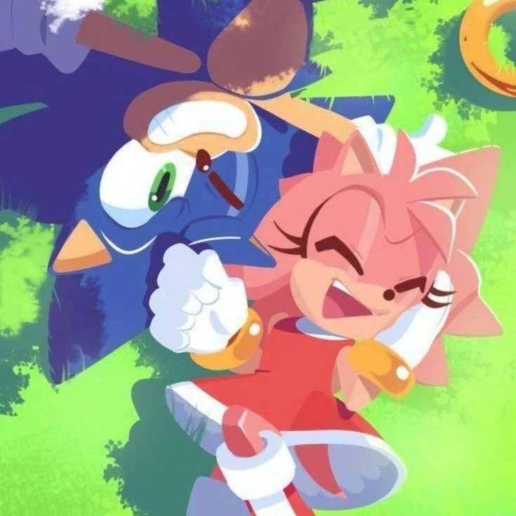 Sonic the hedgehog