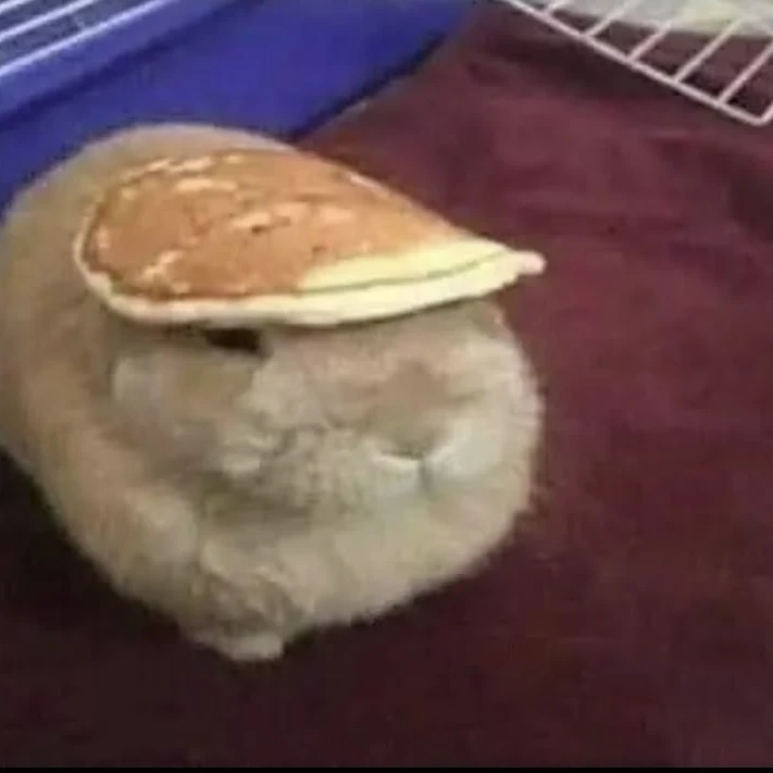 ♡ — 𝗖𝗢𝗠𝗨𝗡𝗜𝗖𝗔𝗗𝗢. !!