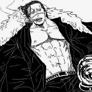 Crocodile