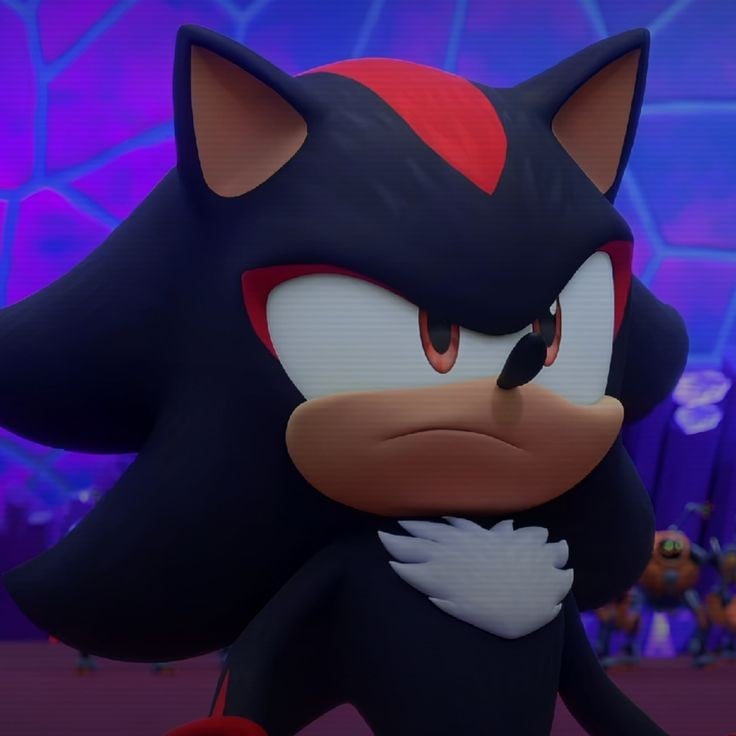 Shadow The Hedgehog`